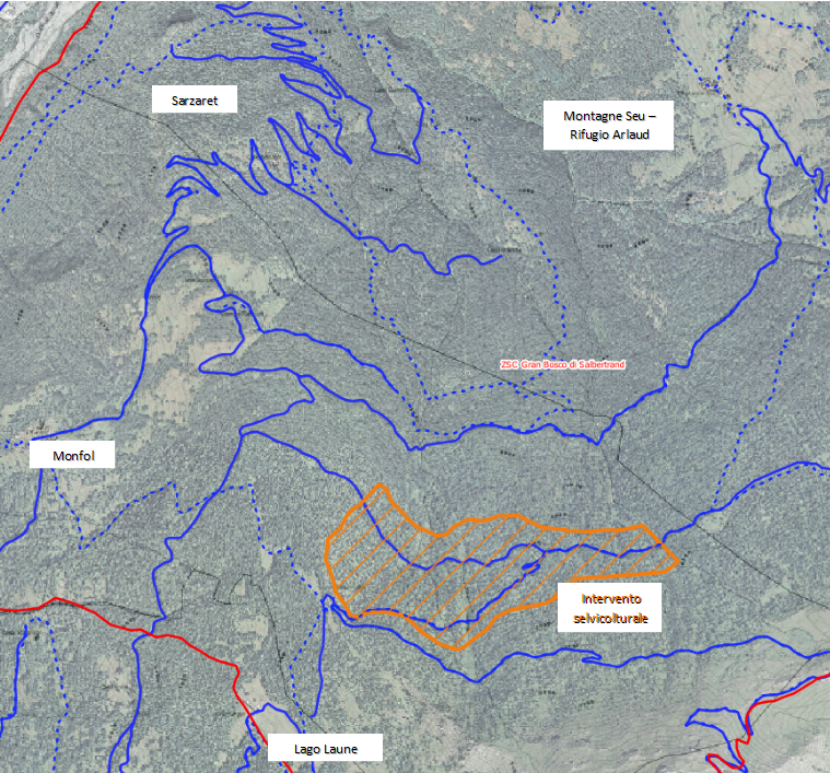 Mappa di intervento di abbattimento ed esbosco nel Parco del Gran Bosco - 2021