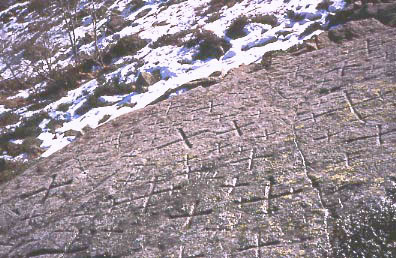 Foto incisioni rupestri