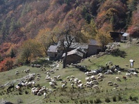 Alpe Colletto \u002D Prato del Colle