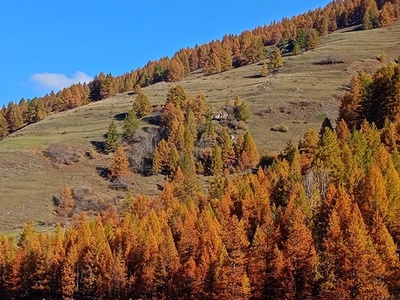 Colori d\u0027autunno