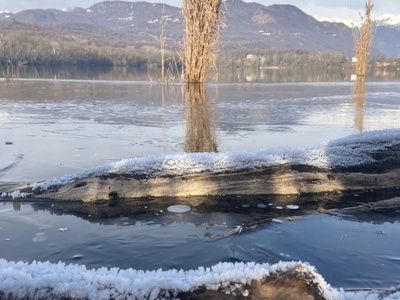 Jeudi 8 janvier 2026. Au sommet de la vague de froid, on remarque une faible présence de glace sur le Lac Petit d\u0027Avigliana.