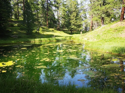 ZSC Lago Nero