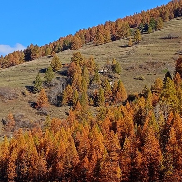 Colori d\u0027autunno