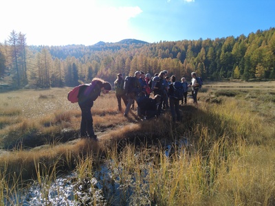 The observation of the ecological specificities recorded on the shores of Lake Clot Foiron.