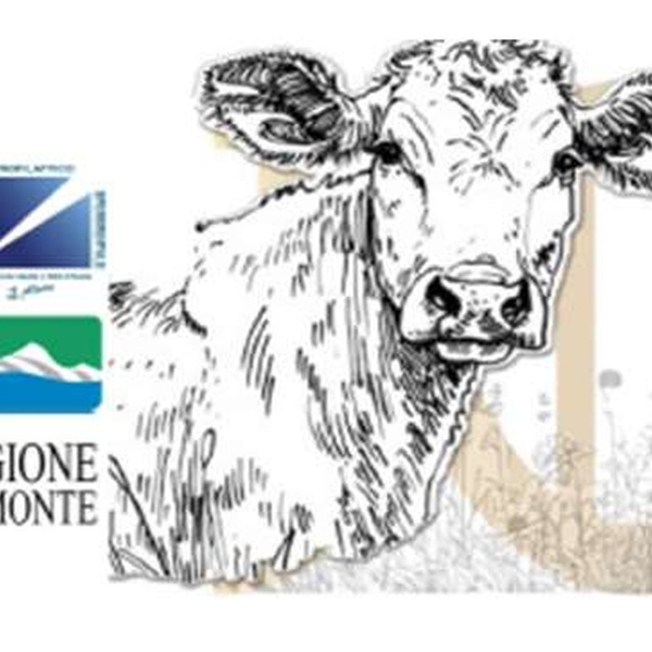 The project logo.