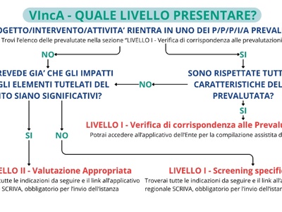Schema processo