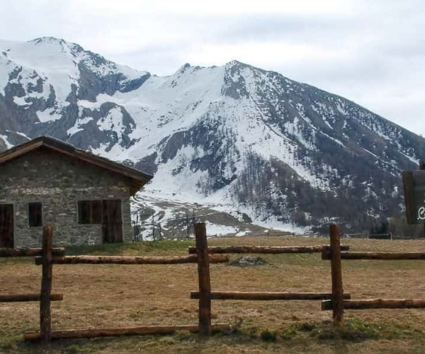 Campeggio Pian dell'Alpe — photo 4