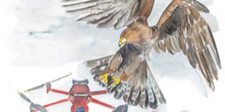 Impatto volo del drone