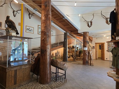 Visitor center \u002D museum space