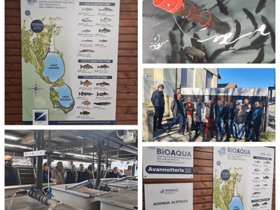 Stock images of the Entity\u0027s visit to the BIOAQUA Center in Avigliana