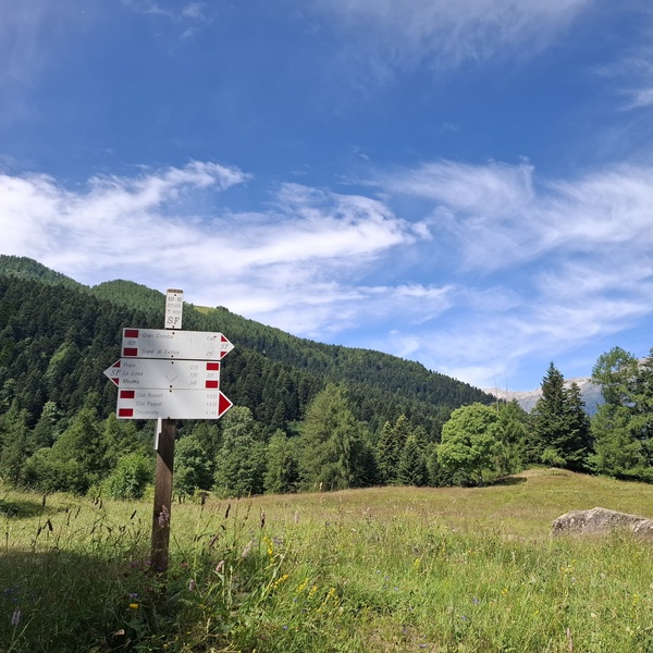 Fees (Chiomonte) \u002D towards the Gran Comba in the Gran Bosco di Salbertrand Natural Park