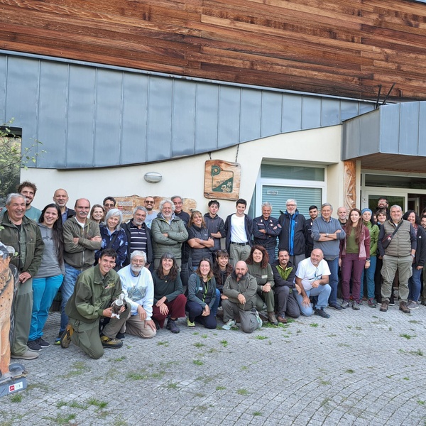 Il gruppo di lavoro