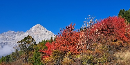Autunno nella ZSC CHamplas Colle del Sestriere