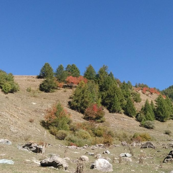 Area Stazione MonITRIng
