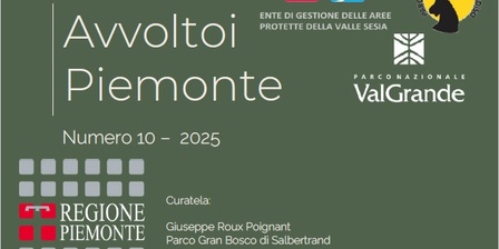 Avvoltoi Piemonte\u002D copertina