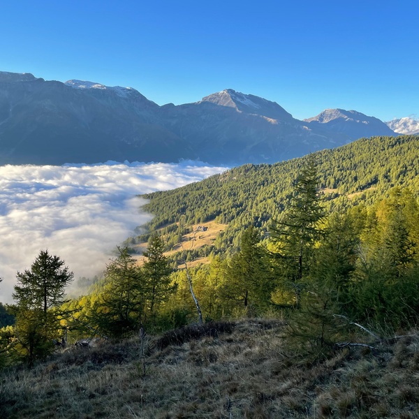 Parco naturale del Gran Bosco di Salbertrand