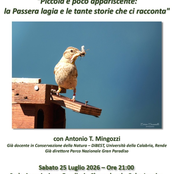 Locandina evento