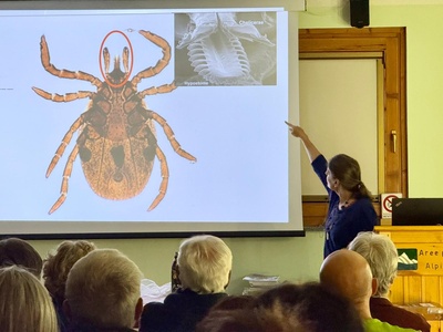 Informative evening on the \u0022Ticks\u0022 project