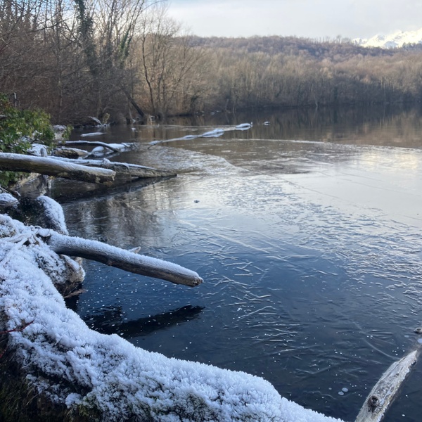 Jeudi 8 janvier 2026. Au sommet de la vague de froid, une faible présence de glace est enregistrée sur le Lac Petit d\u0027Avigliana.