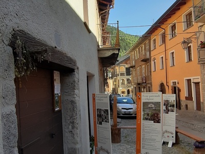 Hotel dieu