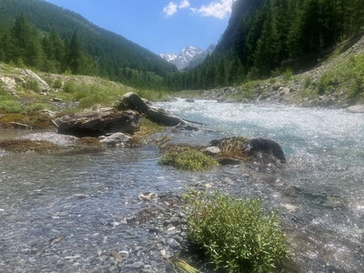 Torrente Chisone