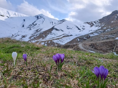 Primavera in Val Sangone
