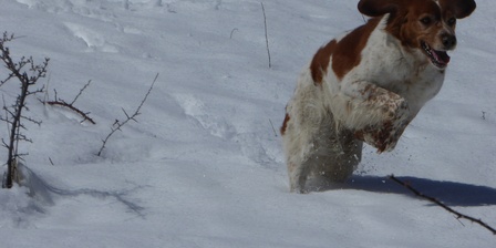 Correndo sulla neve.