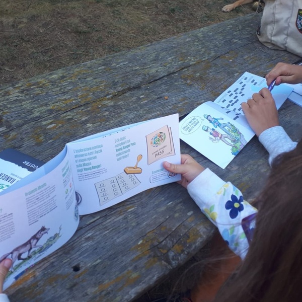 Educational activities dedicated to the wolf \u002D educational kit