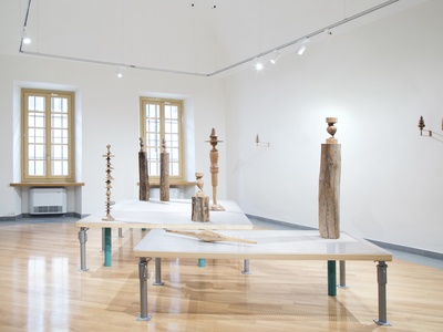 Tree tops and table legs