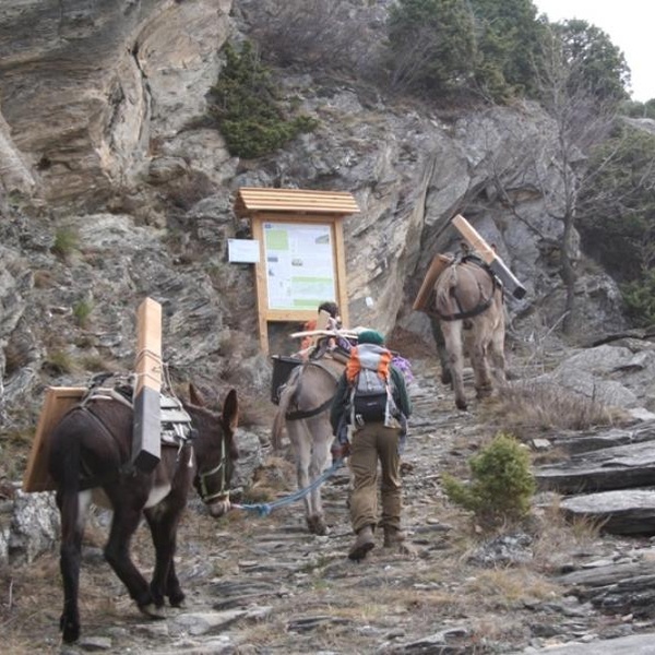 Allestimento dei sentieri didattici LIFE Xero\u002Dgrazing