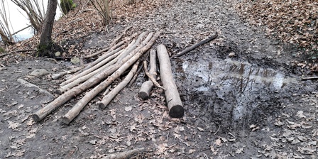 Una situazione di dissesto sul sentiero che costeggia il Lago Piccolo di Avigliana.