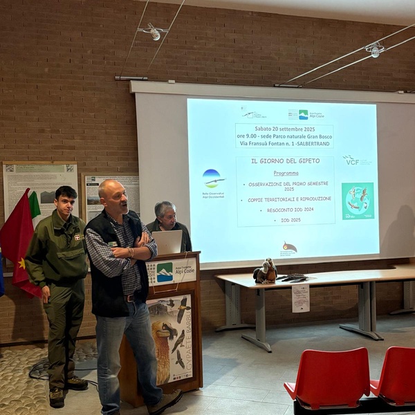 Giornata del Gipeto