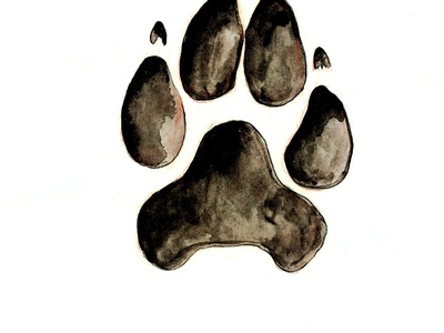Watercolor by Elio Giuliano