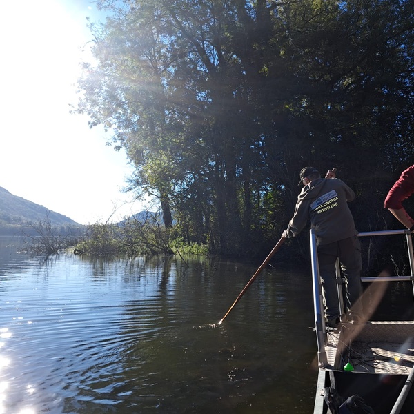 Una fase di elettropesca.