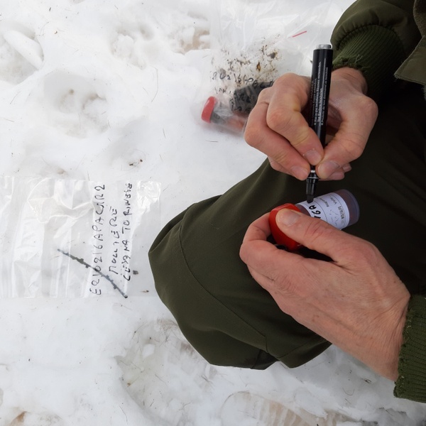 The collection of biological samples that are sent to laboratories for genetic analysis.