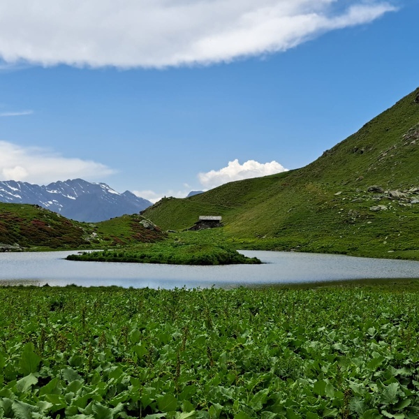 Lago Laus