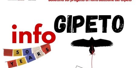 Copertina Info Gipeto n.39