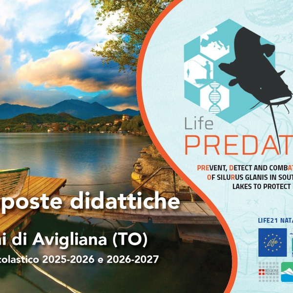 Copertina opuscolo didattico LIFE Predator