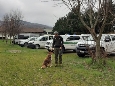 Il guardiaparco Lorenzo Brino con il suo cane Maia durante una formazione per diventare Unità Cinofila Antiveleno.