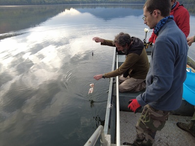 Un amo con esca viene posato nel Lago Piccolo.