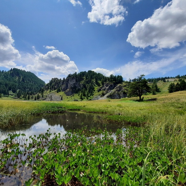 ZSC Cima Fournier Lago Nero