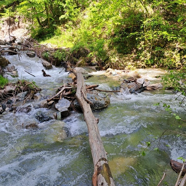 Rio Rocciamelone
