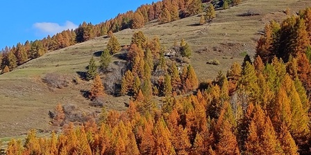 Colori d\u0027autunno