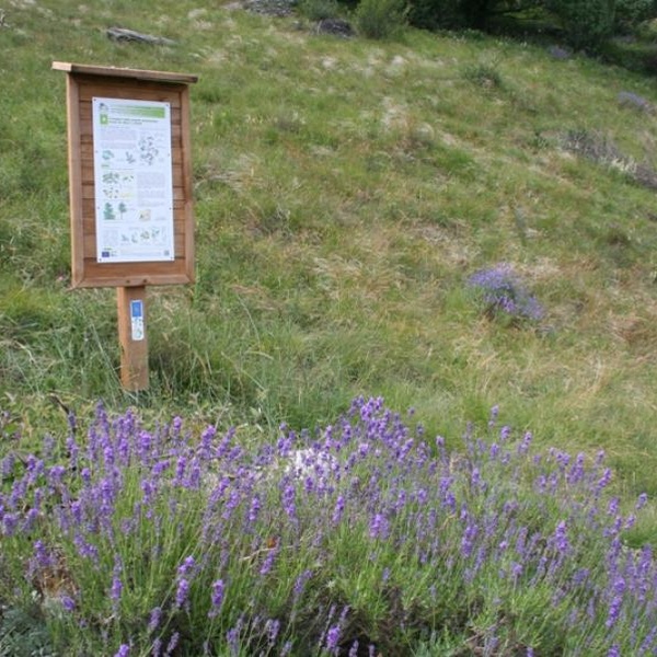 I sentieri didattici LIFE Xero\u002Dgrazing