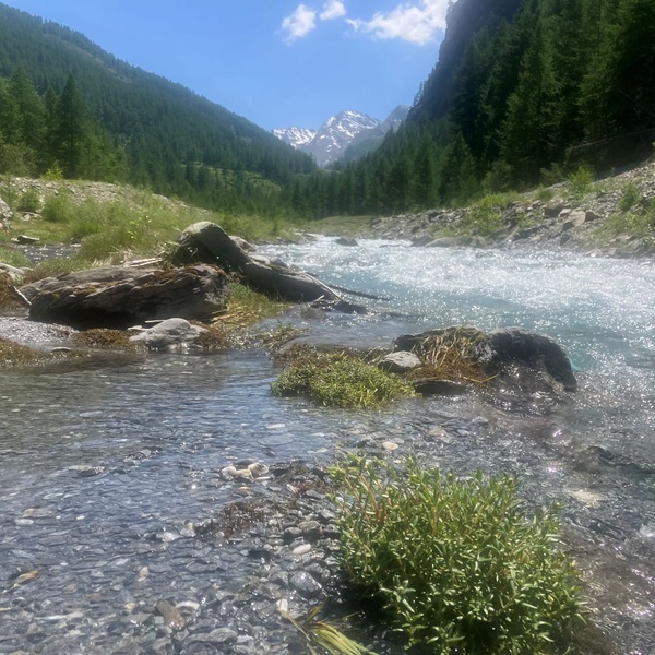 Torrente Chisone