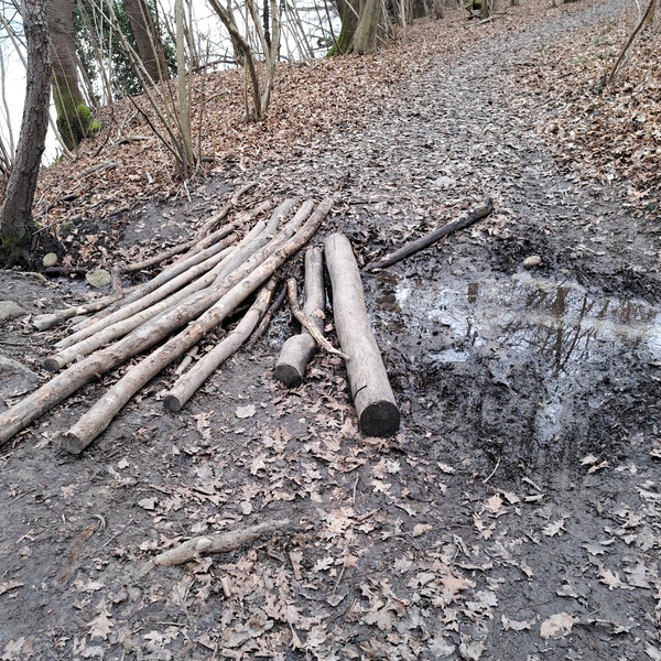 Une situation d\u0027instabilité sur le sentier qui longe le Lac Petit d\u0027Avigliana.