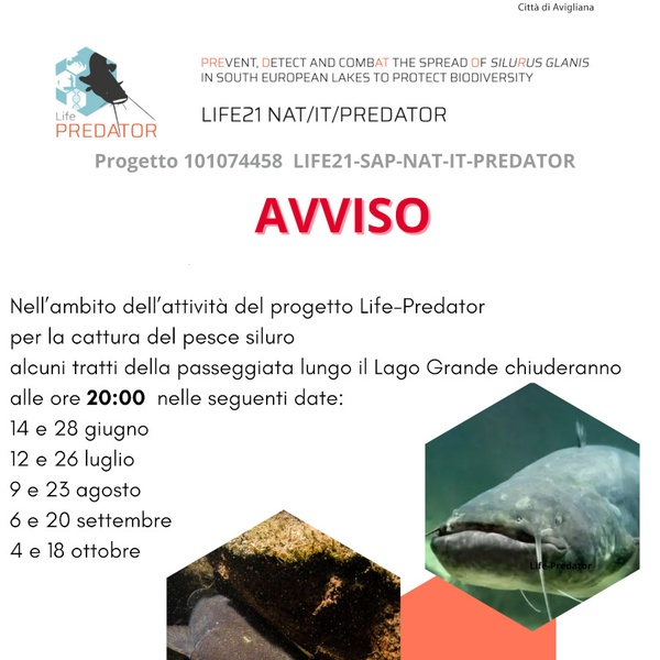I cartelli affissi per segnalare le sessioni di pesca notturna.