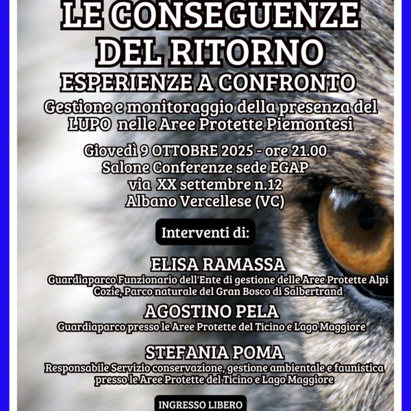 Locandina evento
