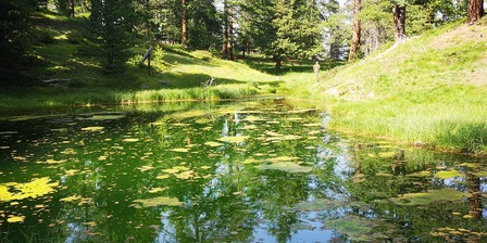 ZSC Lago Nero