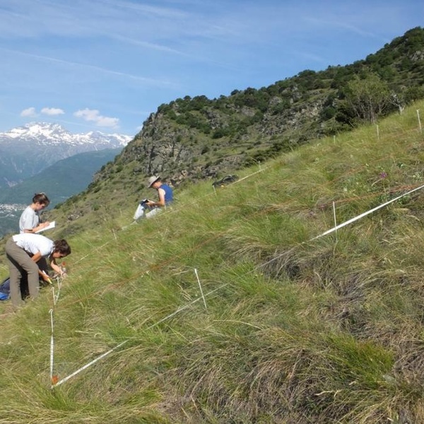 Rilievi di monitoraggio delle orchidee